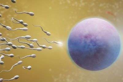 Прием вальпроата во время сперматогенеза не увеличивал риск врожденных пороков развития